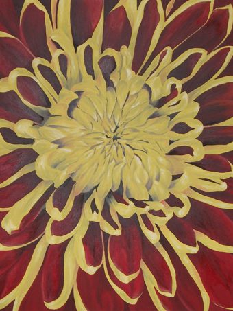 Chrysanthemum Bronzed