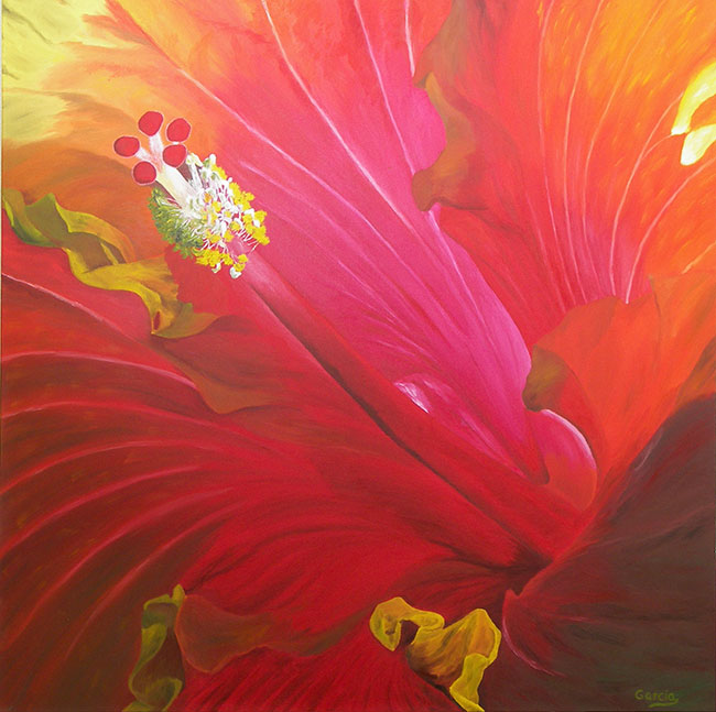 Hibiscus – Inner Beauty