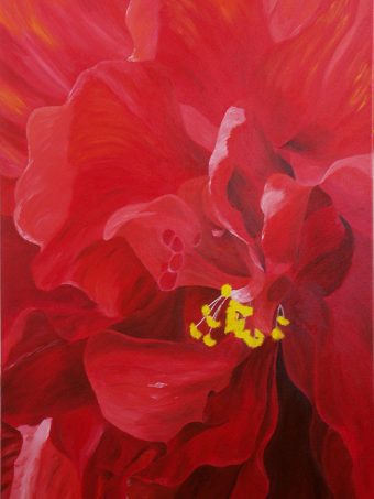 Hibiscus – Red on Red