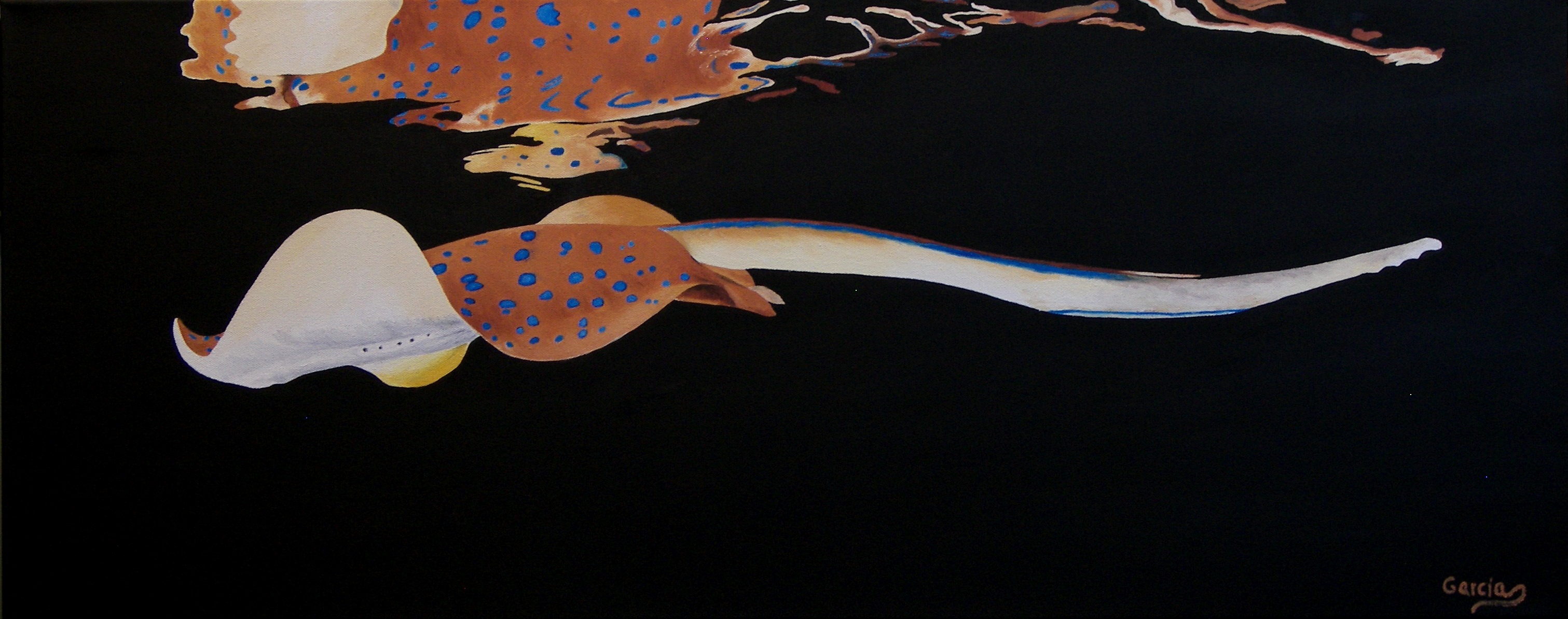 Fish Reflections III – Blue Spot Stingray