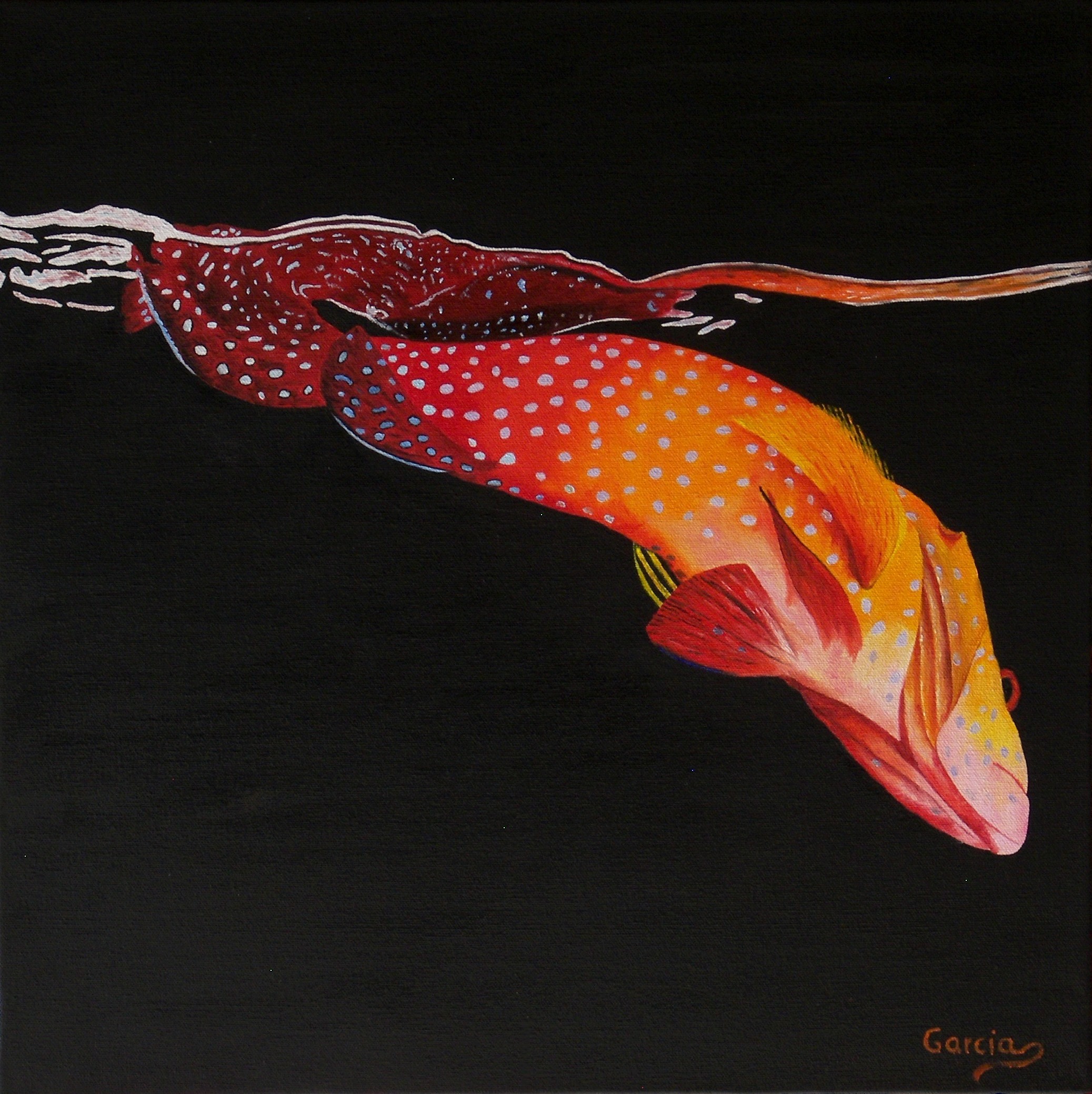 Fish Reflections IV – Grouper