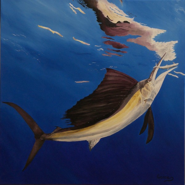 0241 - Fish Reflections - Sailfish Hunting - Comp. July 2015