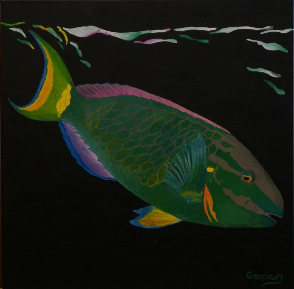 0248 - Fish Reflections - Parrot Fish - Comp. Oct. 2015