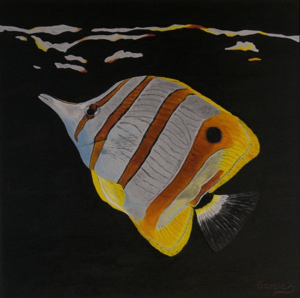 0263 - Fish Reflections - Butterfly Fish - Comp. Jan. 2016
